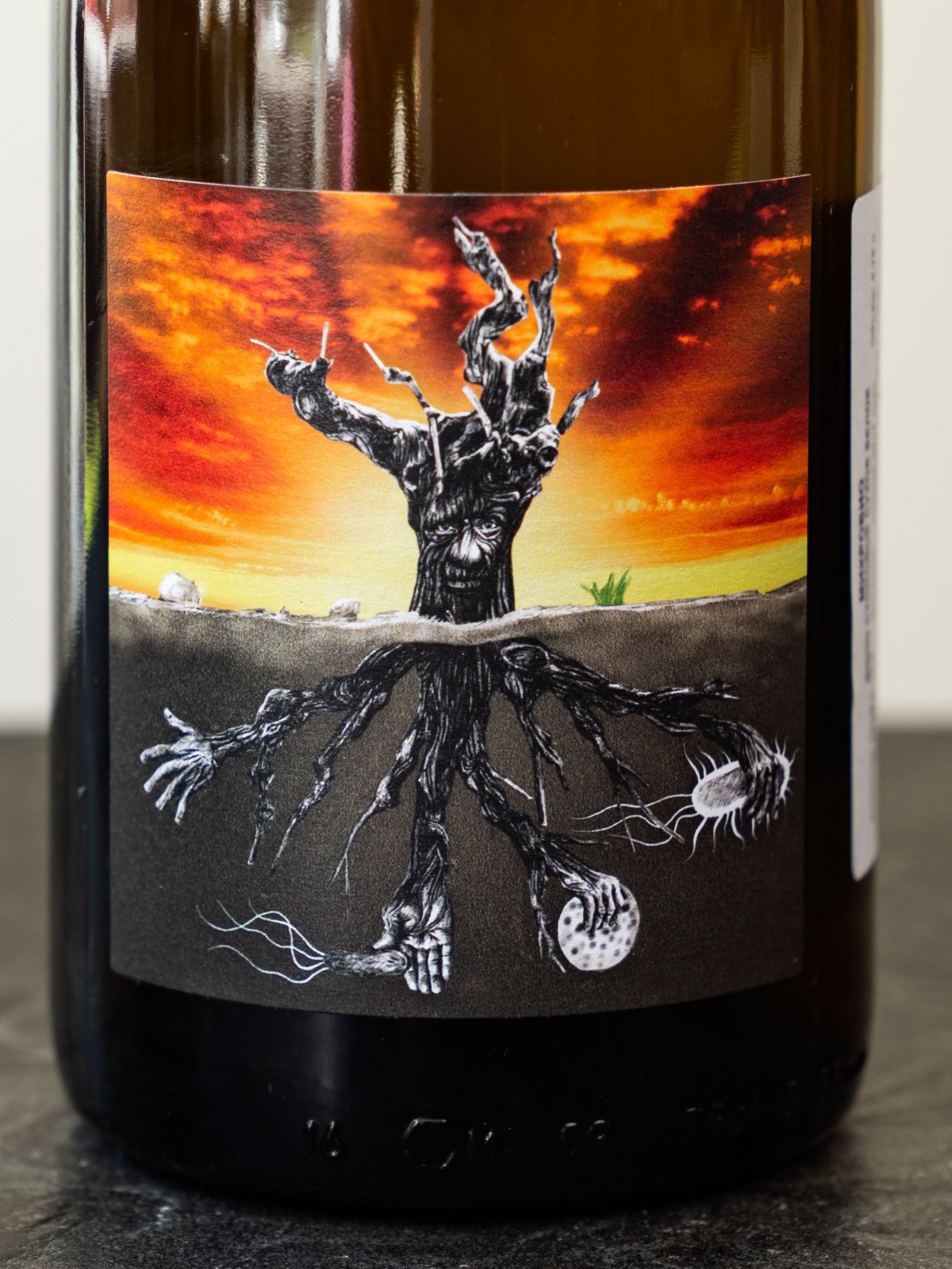 Купить испанское вино Microbio Wines / Микробио - лучшая цена в винном ресторане Остерия Амичи Вино Microbio Wines / Микробио