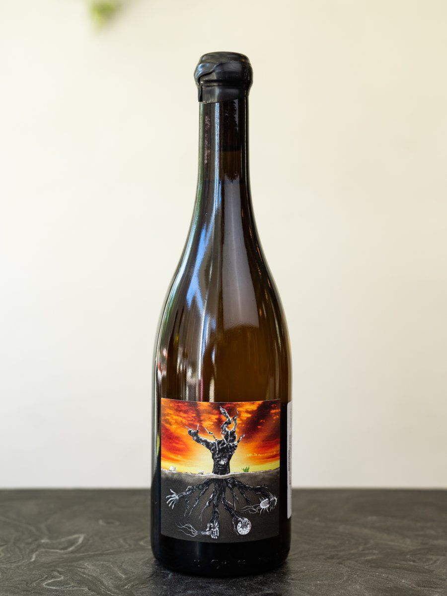 Купить испанское вино Microbio Wines / Микробио - лучшая цена в винном ресторане Остерия Амичи Вино Microbio Wines / Микробио