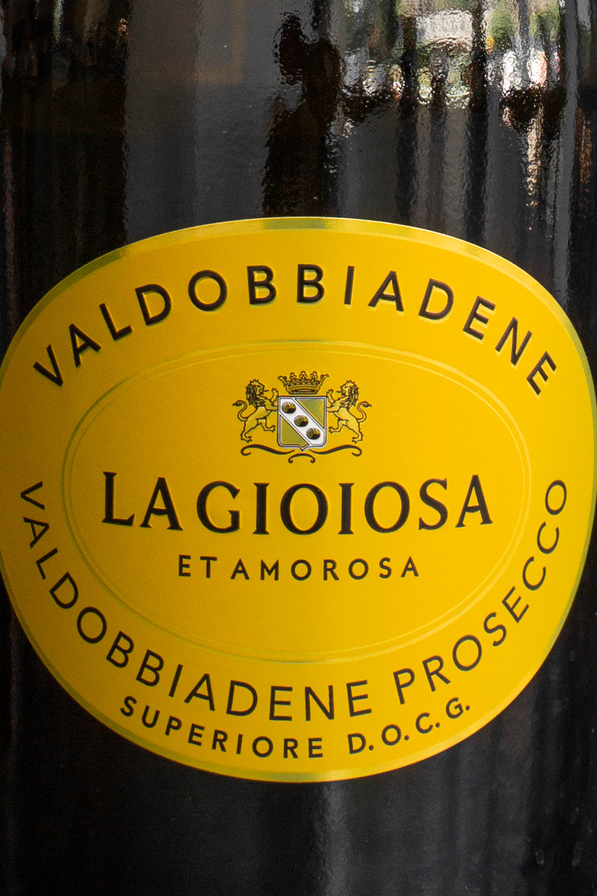 Этикетка La Gioiosa Valdobbiadene Prosecco Superiore DOCG Extra Dry
