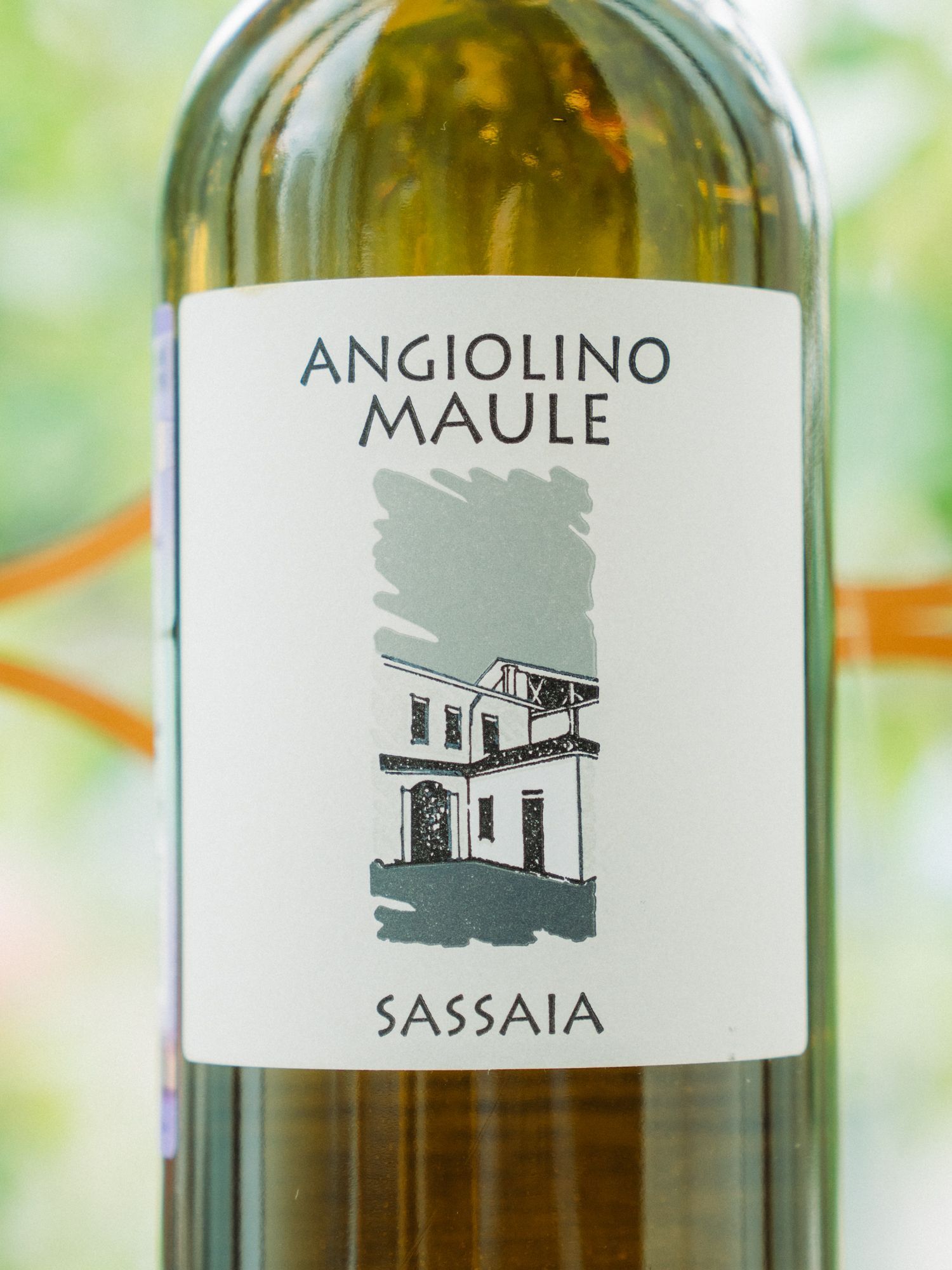 Купить вино Angiolino Maule Sassaia Veneto в винном ресторане Остерия Вино Angiolino Maule Sassaia Veneto / Сассая Венето Анджолино Мауле