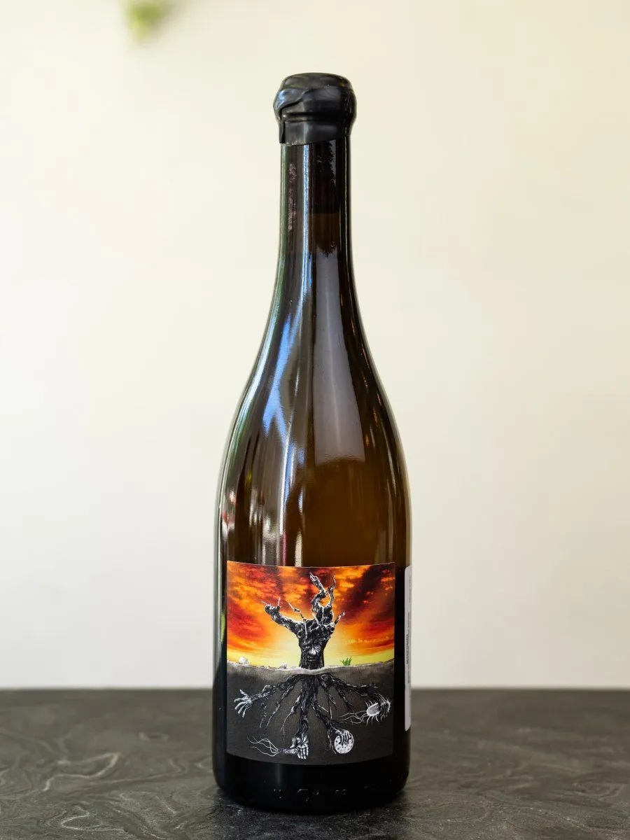 Купить испанское вино Microbio Wines / Микробио - лучшая цена в винном ресторане Остерия Амичи Вино Microbio Wines / Микробио