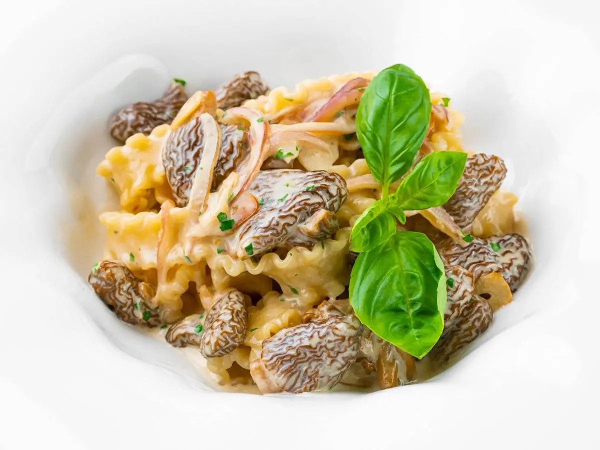 Паста со свежими сморчками