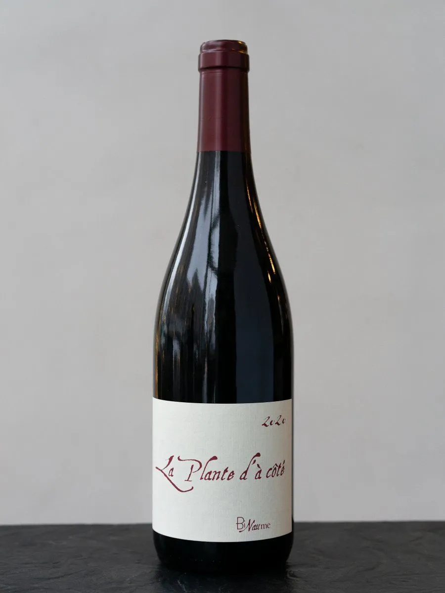 Вино Domaine H. Naudin-Ferrand BiNaume La Plante d'a Cote купить в ресторане Остерия - лучшая цена Вино Domaine H. Naudin-Ferrand BiNaume La Plante d'a Cote / Домен А. Нодан-Ферран БиНом Ла Плант д'а Кот