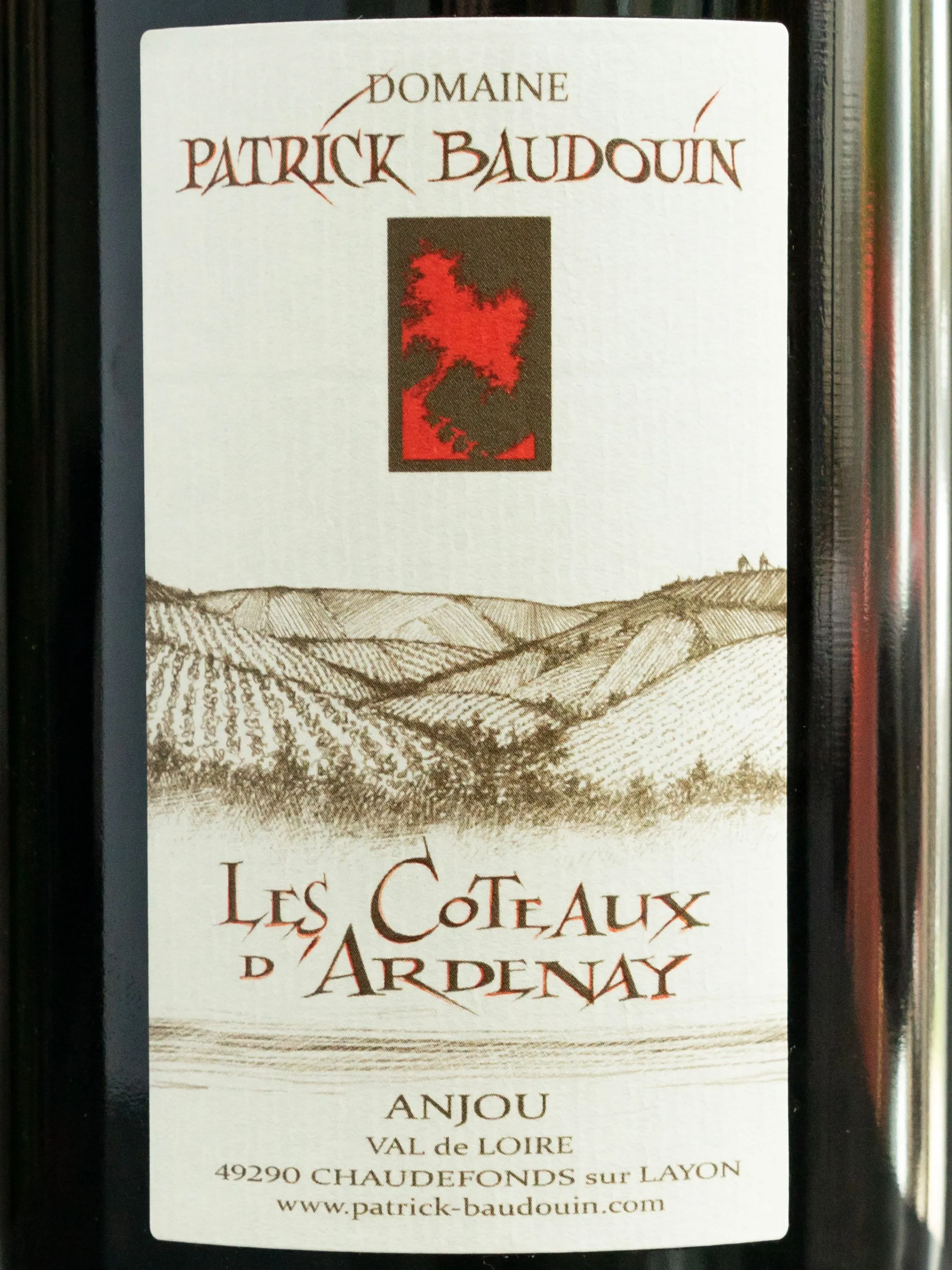 Вино Domaine Patrick Baudouin Les Coteaux d'Ardenay / Домен Патрик Бодуэн Ле Кото д'Ардене